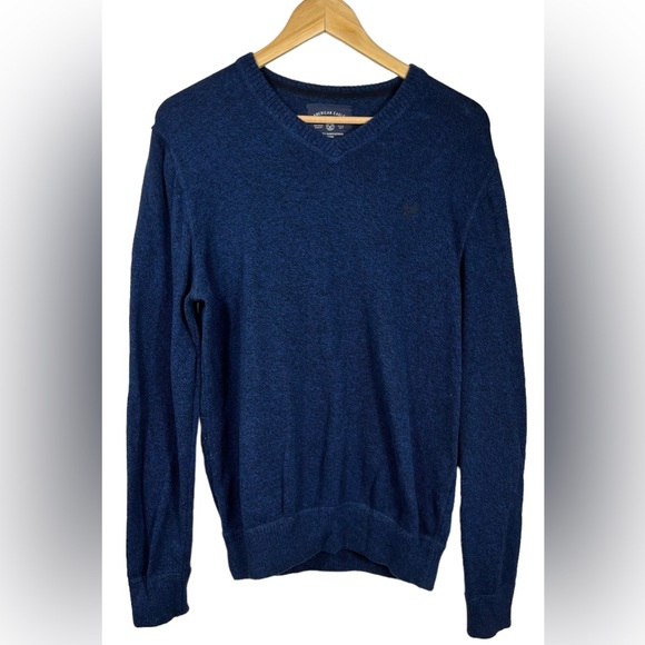 American Eagle Outfitters Other - American Eagle Outfitters Blue Long Sleeve V-neck Sweater Shirt | Size: Medium